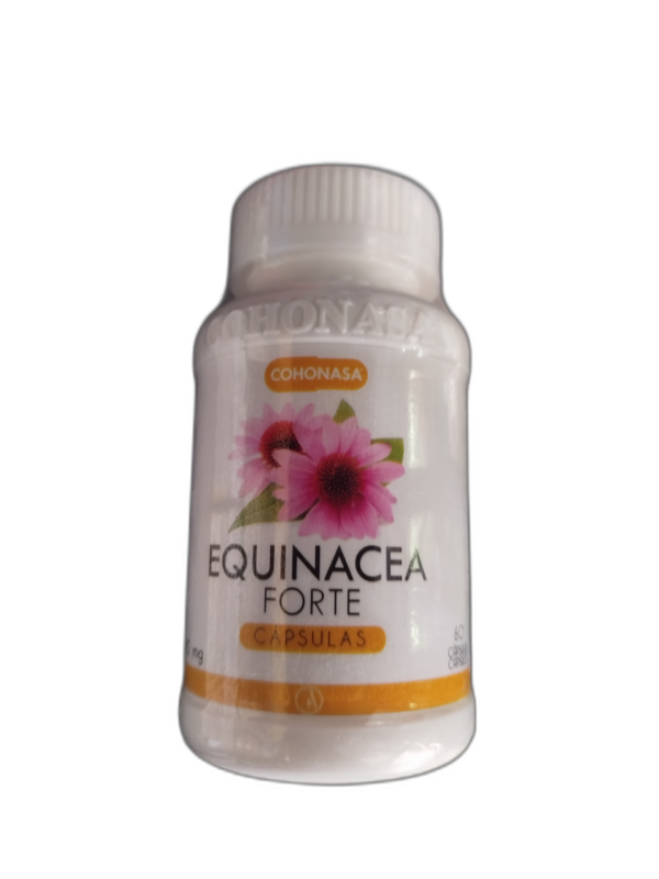EQUINACEA FORTE C60 CAPSULAS AVANFARMA COHONASA